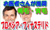 ���{�畆�Ȋw��ł����߂̃t�B�i�X�e���h�ܗL���i����葵���Ă��܂��B