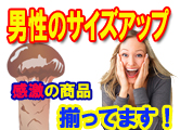 �j���̃T�C�Y�A�b�v�́A�e���葵���Ă��܂��B