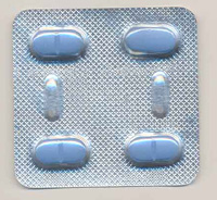 �t�H�[�[�X�g�@�iForzest�j