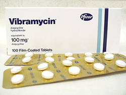 �r�u���}�C�V�� �@�iVibramycin�j