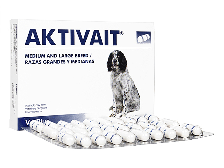 希少 Aktivait アクティベート中型 大型犬用 犬用品 ペット用品 Www Marengoef Com