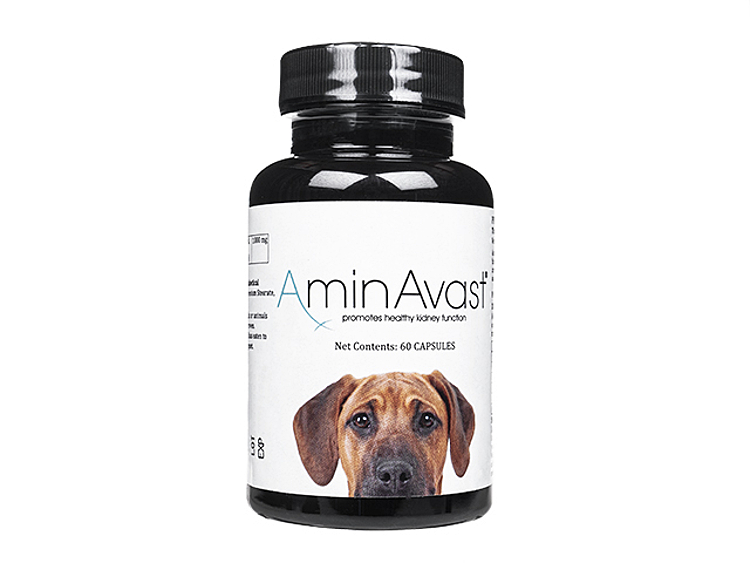 アミンアバスト300mg　犬猫用　60カプセル×4ボトル