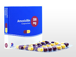 ALVV 500mg Bristol