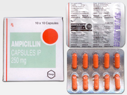 アンピシリン(Ampicillin) 250mg 250mg 10カプセル/シート