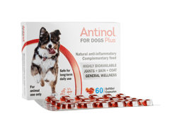 �A���`�m�[���v���X(Antinol Plus) ���p
