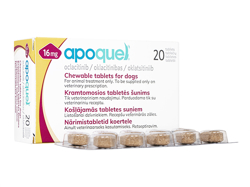 A|NG`u(Apoquel Chewable) 16mg p 20 1