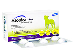 アトピカ(Atopica) 25mg 小型犬用(4kg〜7.5kg) 