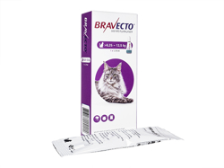 uxNg X|bg(Bravecto Spot) 500mg Lp(6.25kg-12.5kg) 1.79ml