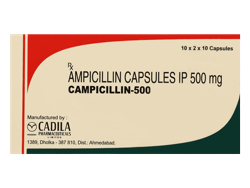 カンピシリン(Campicillin) 500mg 200カプセル/箱