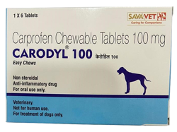 J_C(Carodyl) 100mg p 6 1