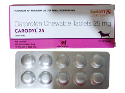 カロダイル(Carodyl) 25mg 犬用 10錠 1箱
