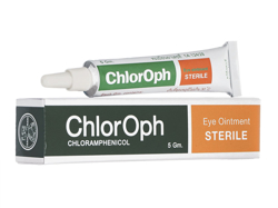 NItp(ChlorOph Eye Ointment) 1% 5g NtFjR[p