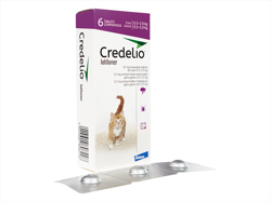 クレデリオ(Credelio) 猫用(0.5kg-2.0kg) 6チュワブル/1箱
