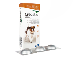 クレデリオ(Credelio) 犬用(>5.5-11kg) 6チュワブル/1箱