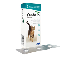 クレデリオ(Credelio) 猫用(>2.0kg-8.0kg) 6チュワブル/1箱