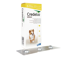 クレデリオ(Credelio) 犬用(1.3kg-2.5kg) 6チュワブル/1箱