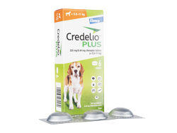 NfIvX(Credelio Plus) p(5.5kg-11kg)