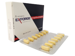 GbNXtH[W(Exforge) 10mg/160mg