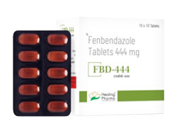 �t�F���x���_�]�[��(FBD) �����p 444mg