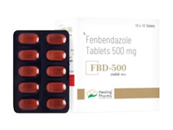 �t�F���x���_�]�[��(FBD) �����p 500mg