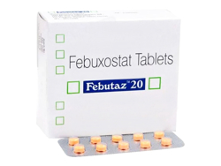 �t�F�u�^�Y(Febutaz) 20mg �t�F�u���N�W�F�l���b�N 100��/1��