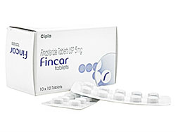 tBJ[(Fincar) 5mg vXJ[WFlbN 100/1