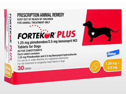 tHeR[ vX(Fortekor Plus) 1.25mg + 2.5mg ʔpbP[W