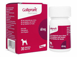 ガリプラント(Galliprant) 60mg 犬用 グラピプラント 30錠 1ボトル