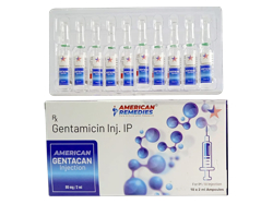 ゲンタカン(Gentacan) 注射液 40mg/ml 2ml 10本 1箱