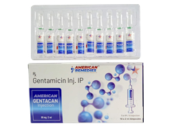 Q^J(Gentacan) ˉt 40mg/ml 2ml 10{ 1