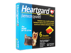ハートガードプラス(Heartgard Plus) 小型犬用(12kg未満)
