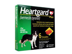 ハートガードプラス(Heartgard Plus) 中型犬用(12kg〜23kg)