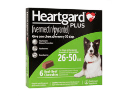 n[gK[hvX(Heartgard Plus) ^p(12kg`23kg)