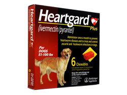 n[gK[hvX(Heartgard Plus) ^p(23kg`46kg)
