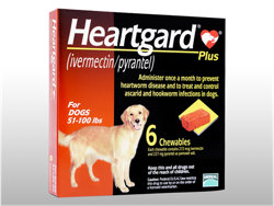 n[gK[hvX(Heartgard Plus) ^p(23kg`46kg) MerialЃpbP[W