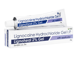 リグノヒール(Lignoheal) 2% 15f リドカインジェル