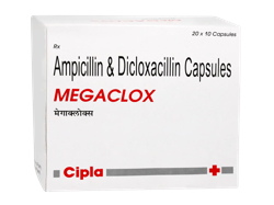 ���K�N���b�N�X(Megaclox) 250mg/250mg 200�J�v�Z��/1��