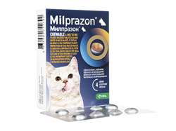 ミルプラゾンチュワブル(Milprazon Chewable) 4mg/10mg 小型猫と子猫用(0.5kg以上) 4錠/1箱