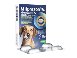 ミルプラゾンチュワブル(Milprazon Chewable) 12.5mg/125mg 犬用(5kg以上) 4錠/1箱