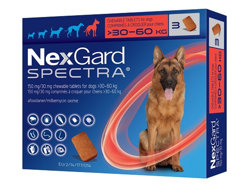 lNXK[hXyNg(NexGard Spectra) ^p(30-60kg)
