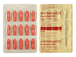 mobNX(Novamox) 500mg 15JvZ V[g