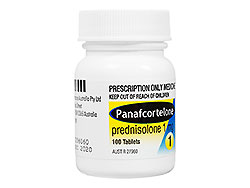 パナフコルテロン(Panafcortelone) 1mg プレドニゾロン