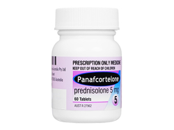 パナフコルテロン(Panafcortelone) 5mg プレドニゾロン