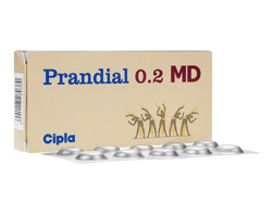プランディアル(Prandial) MD 0.2mg ベイスンジェネリック