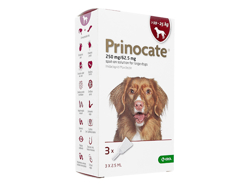 vmP[g(Prinocate) 250mg/62.5mg ^p(>10-25kg) 2.5ml