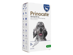 vmP[g(Prinocate) 400mg/100mg ^p(>25-40kg) 4ml