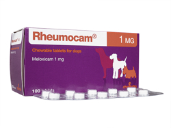 ルーモカム(Rheumocam) 1mg 犬用 メロキシカム チュワブル錠