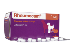 [J(Rheumocam) 1mg p LVJ `u