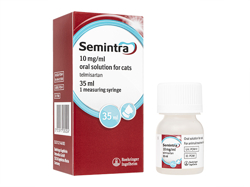 Z~g(Semintra) 10mg/ml Lp 35ml