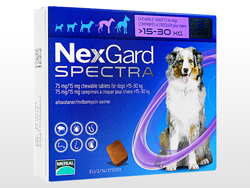 lNXK[hXyNg(NexGard Spectra) ^p(15-30kg)